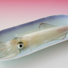 株式会社レンタスのプレスリリース画像2