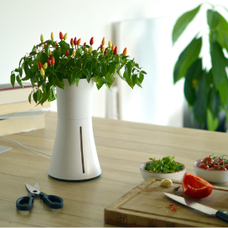 株式会社レンタスのプレスリリース画像6