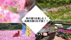 株式会社レンタスのプレスリリース画像1