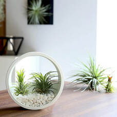 株式会社レンタスのプレスリリース画像11