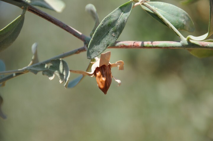 興亜産業株式会社のプレスリリース画像6