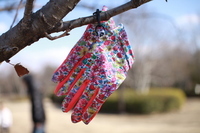 株式会社アルブルのプレスリリース