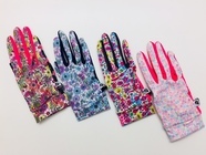 株式会社アルブルのプレスリリース画像3