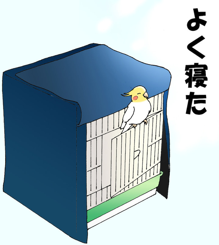 通気性抜群で 遮光にもなる ペットのための オーダーメイド 夏用おやすみカバー ケージカバー を発売開始 フューチャー ウィンドのプレスリリース 通気性抜群で 遮光にもなる ペットのための オーダーメイド 夏用おやすみカバー ケージカバー を発売開始 フューチャー ウィンドのプレスリリース