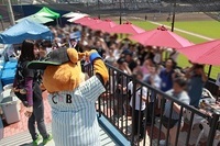 「婚活生活／船橋店」株式会社マリッジイノベーションのプレスリリース