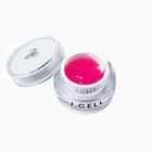 株式会社クラウディアのプレスリリース画像9