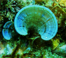 株式会社クラウディアのプレスリリース画像8