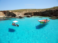 株式会社クラウディアのプレスリリース画像1