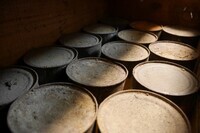 合名会社　童の夢のプレスリリース画像2