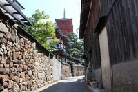 合名会社　童の夢のプレスリリース画像6