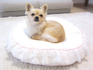 株式会社　京都シルク化工のプレスリリース画像3