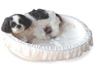 株式会社　京都シルク化工のプレスリリース画像4