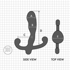 パインズインターナショナル株式会社のプレスリリース画像5