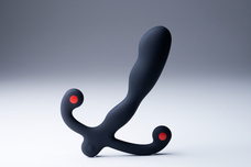 パインズインターナショナル株式会社のプレスリリース画像2