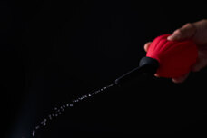 パインズインターナショナル株式会社のプレスリリース画像2