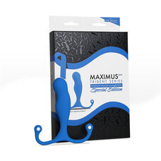 パインズインターナショナル株式会社のプレスリリース画像3