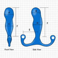 パインズインターナショナル株式会社のプレスリリース画像4