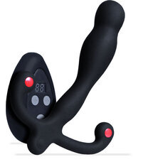 パインズインターナショナル株式会社のプレスリリース画像1