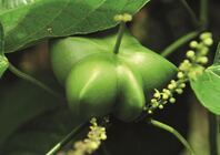 株式会社メイクアップのプレスリリース画像3