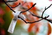 株式会社 コズレのプレスリリース