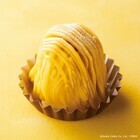 株式会社ドトールコーヒーのプレスリリース画像3