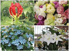 株式会社ドトールコーヒーのプレスリリース画像7