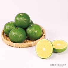 株式会社ドトールコーヒーのプレスリリース画像4