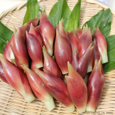 株式会社ドトールコーヒーのプレスリリース画像10