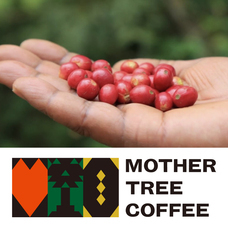 株式会社ドトールコーヒーのプレスリリース画像4