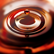 株式会社ドトールコーヒーのプレスリリース画像6