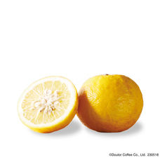 株式会社ドトールコーヒーのプレスリリース画像6