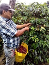 株式会社ドトールコーヒーのプレスリリース画像3