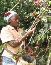 株式会社ドトールコーヒーのプレスリリース画像1