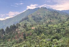 株式会社ドトールコーヒーのプレスリリース画像3