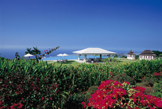 株式会社ドトールコーヒーのプレスリリース画像3