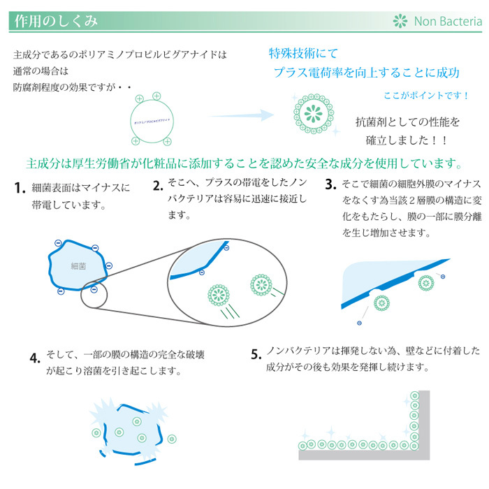 株式会社 TSUKINU-QIのプレスリリース画像8