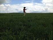 artless Inc.のプレスリリース画像2