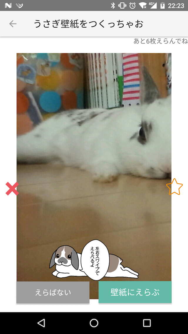 うさぎ専門写真シェア 飼育日記アプリが使いやすくリニューアル うさぎに特化したツールアプリ うさぎ広場 の機能拡張 秋田 潤のプレスリリース うさぎ専門写真シェア 飼育日記アプリが使いやすくリニューアル うさぎに特化したツールアプリ うさぎ広場 の機能拡張 秋田 潤のプレスリリース