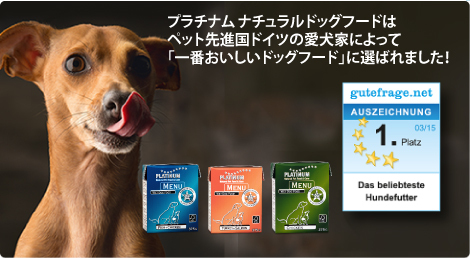 株式会社PLATINUMのプレスリリース画像1