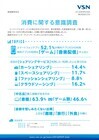 株式会社VSNのプレスリリース画像1
