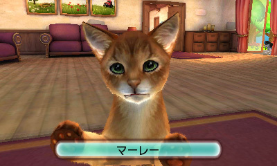 株式会社　スターサインのプレスリリース画像3