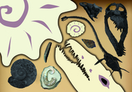 札幌国際観光株式会社　のプレスリリース画像1