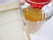 札幌国際観光株式会社　のプレスリリース画像1