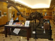 札幌国際観光株式会社　のプレスリリース画像1