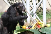 札幌国際観光株式会社　のプレスリリース画像1