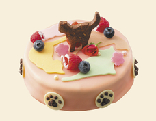 札幌国際観光株式会社　のプレスリリース画像1