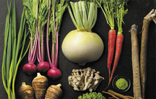 札幌国際観光株式会社　のプレスリリース画像1