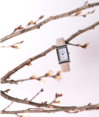 株式会社EAU ROUGEのプレスリリース画像3