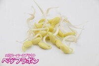 株式会社　サラダコスモのプレスリリース画像1