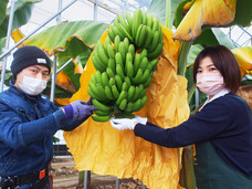 株式会社小久保工業所のプレスリリース画像1